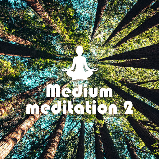 Session "Medium meditation" lampe hypnagogique INNER LIGHT